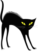 Black Cat